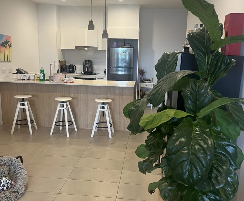$370, Flatshare, 2 bathrooms, Lutwyche QLD 4030