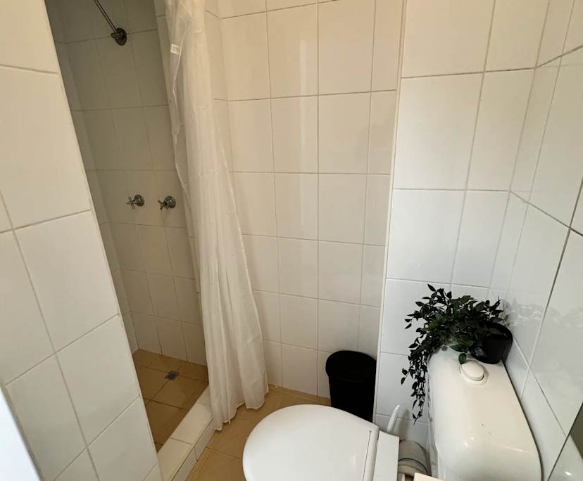 $560, Studio, 1 bathroom, Enmore NSW 2042