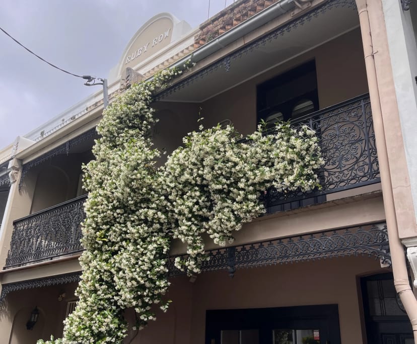 Whole property with 2 rooms for rent