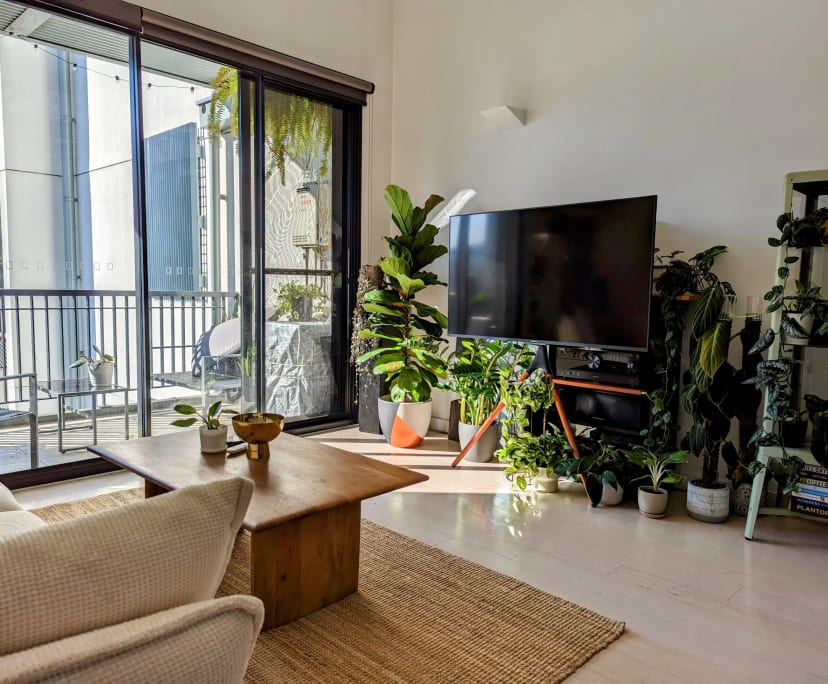 $550, Flatshare, 2 bathrooms, Waterloo NSW 2017