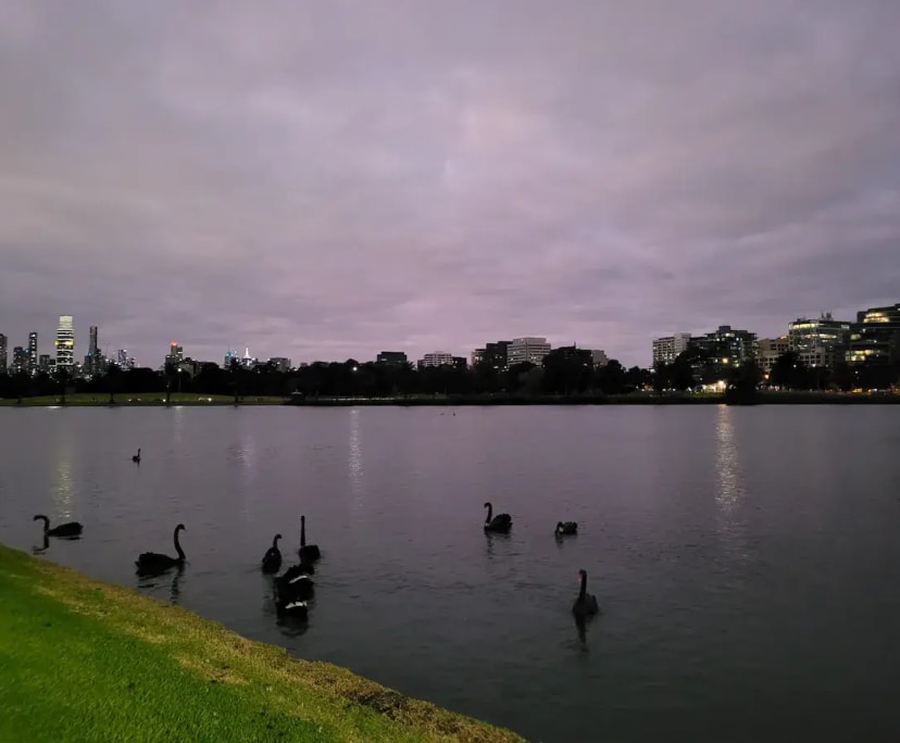 $350-450, Flatshare, 2 rooms, Melbourne VIC 3004, Melbourne VIC 3004