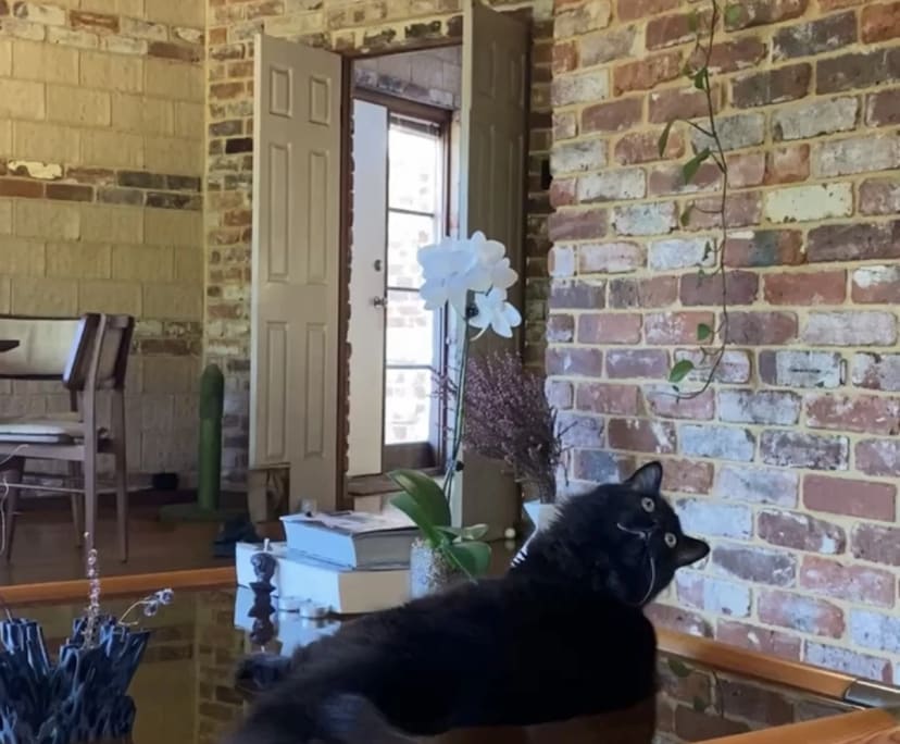 $350, Share-house, 3 bathrooms, Fremantle WA 6160