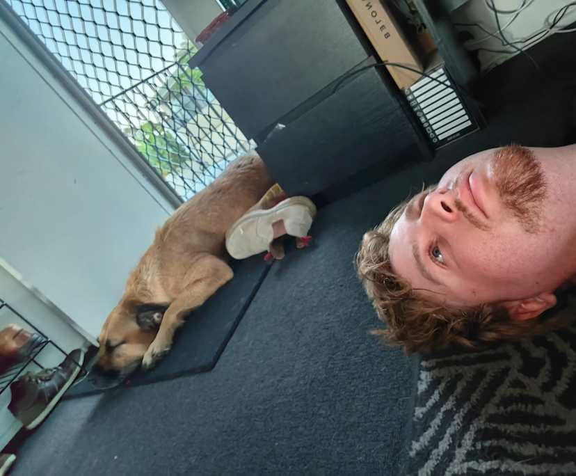 $325, Share-house, 4 bathrooms, Labrador QLD 4215