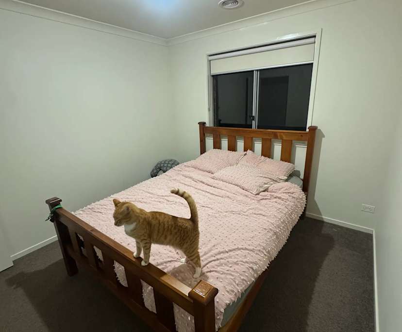 Room in a share house