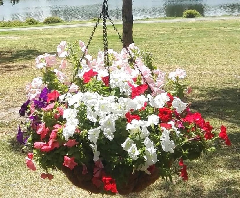 $225-285, Share-house, 2 rooms, Footscray VIC 3011, Footscray VIC 3011