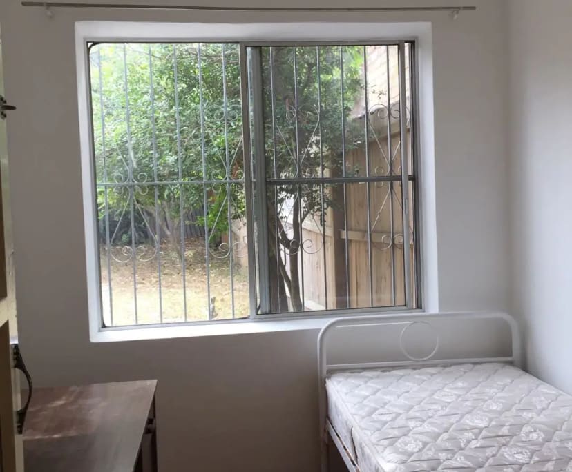 Whole property with 5 rooms for rent