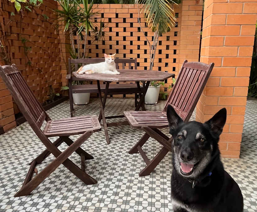 $300, Student-accommodation, 6 bathrooms, Kelvin Grove QLD 4059