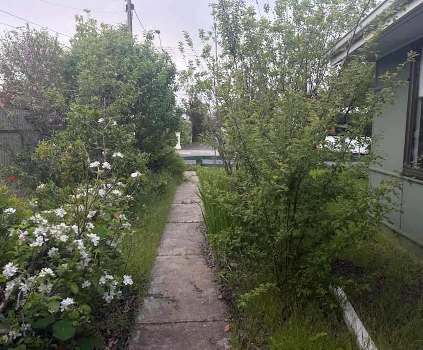 $260, Share-house, 3 bathrooms, Firle SA 5070