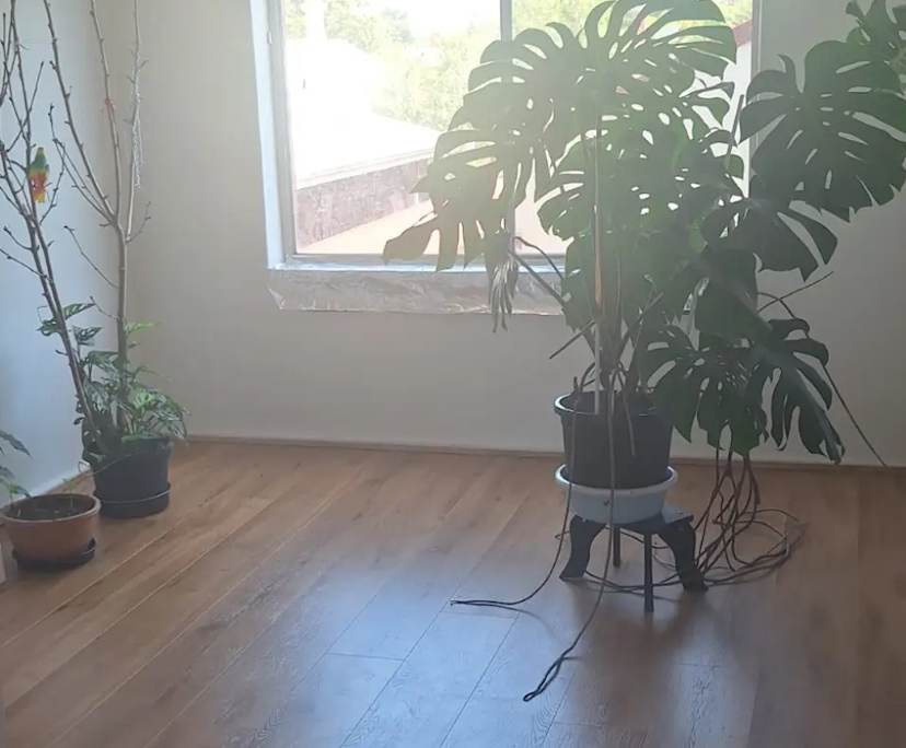 Unfurnished room in a flatshare