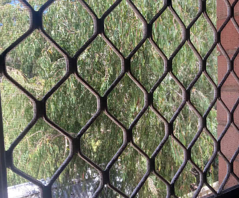 $250, Flatshare, 2 bathrooms, Scarborough WA 6019