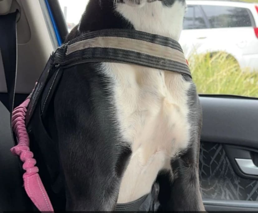 $200, Share-house, 4 bathrooms, Glenroy NSW 2640