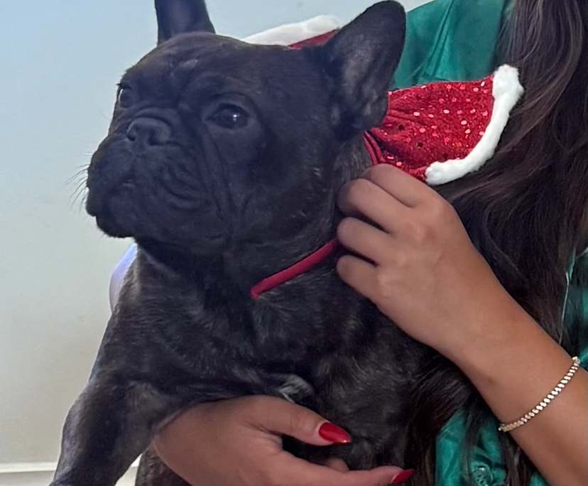 $320-350, Share-house, 2 rooms, West Richmond SA 5033, West Richmond SA 5033