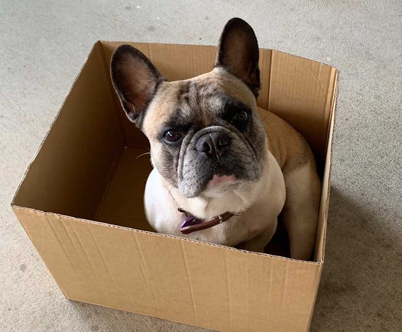 $550, Student-accommodation, 2 bathrooms, Miami QLD 4220