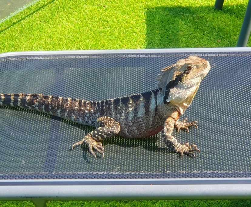 $600, Share-house, 4 bathrooms, Surfers Paradise QLD 4217