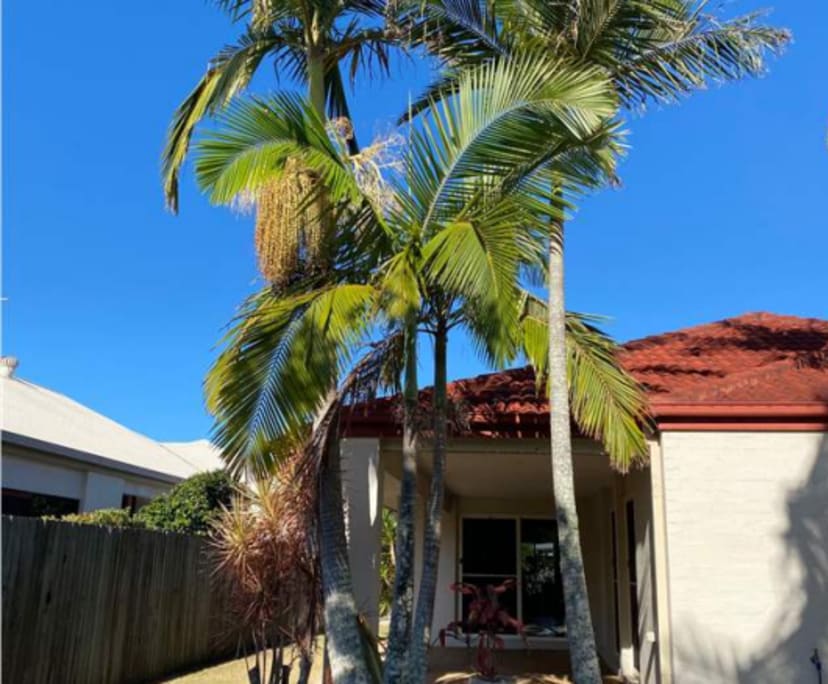 $400, Share-house, 4 bathrooms, Twin Waters QLD 4564