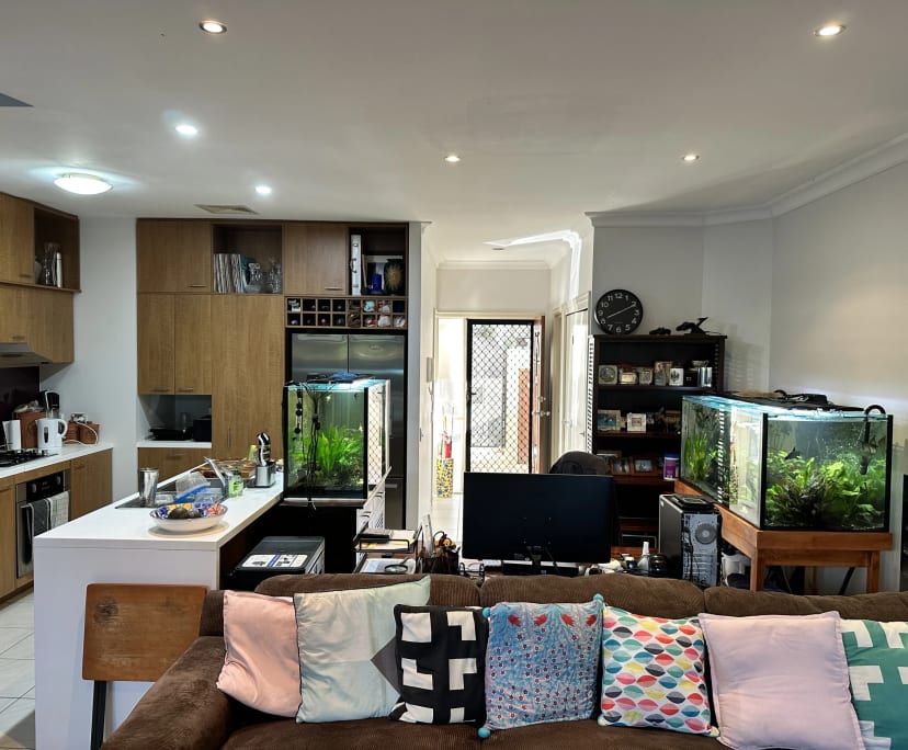 $320, Share-house, 3 bathrooms, Surfers Paradise QLD 4217