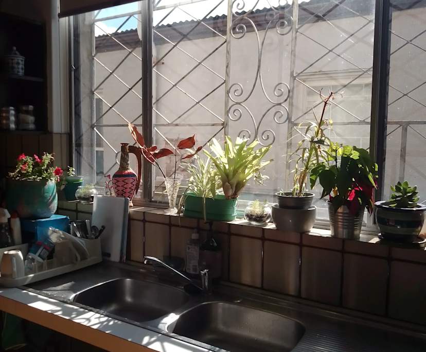 $380, Share-house, 3 bathrooms, Randwick NSW 2031