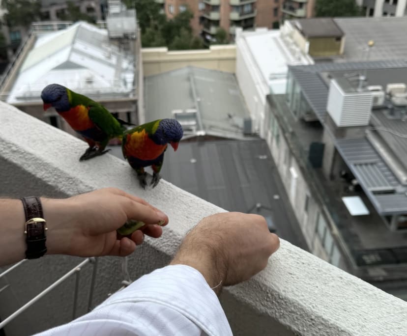 $410, Flatshare, 2 bathrooms, Surry Hills NSW 2010