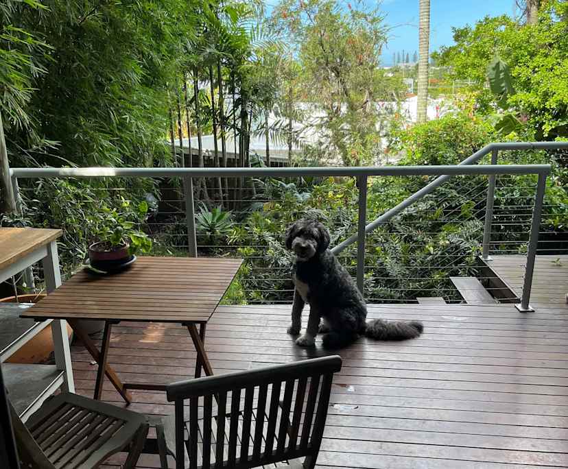 $650, Share-house, 3 bathrooms, Tugun QLD 4224