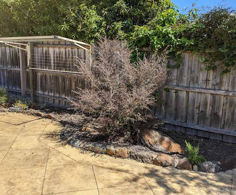 $350, Share-house, 4 bathrooms, Mount Eliza VIC 3930