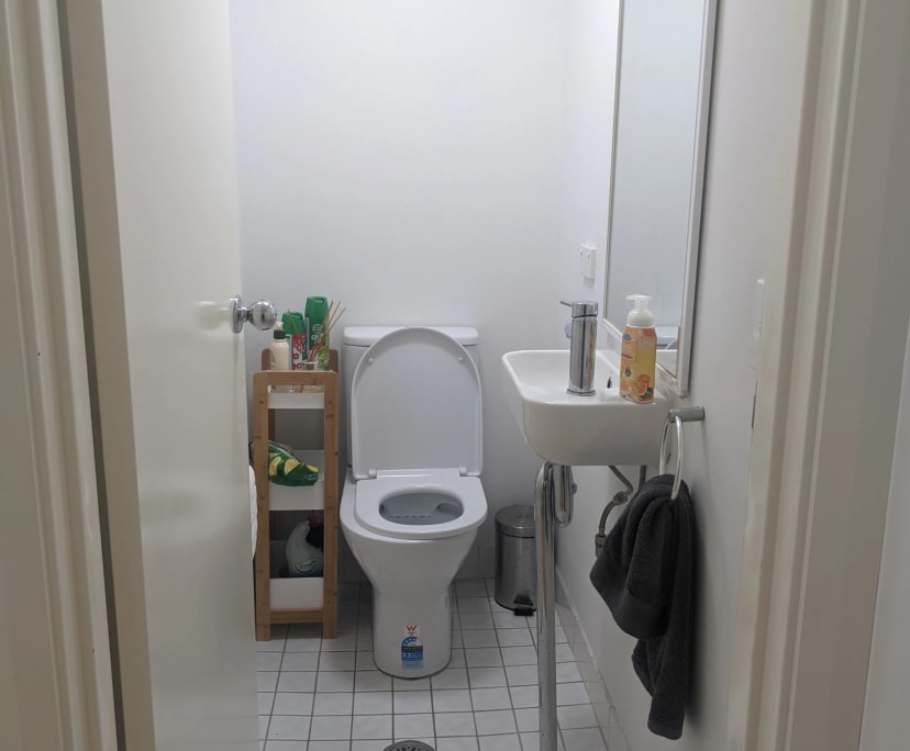 $250, Flatshare, 2 bathrooms, North Strathfield NSW 2137