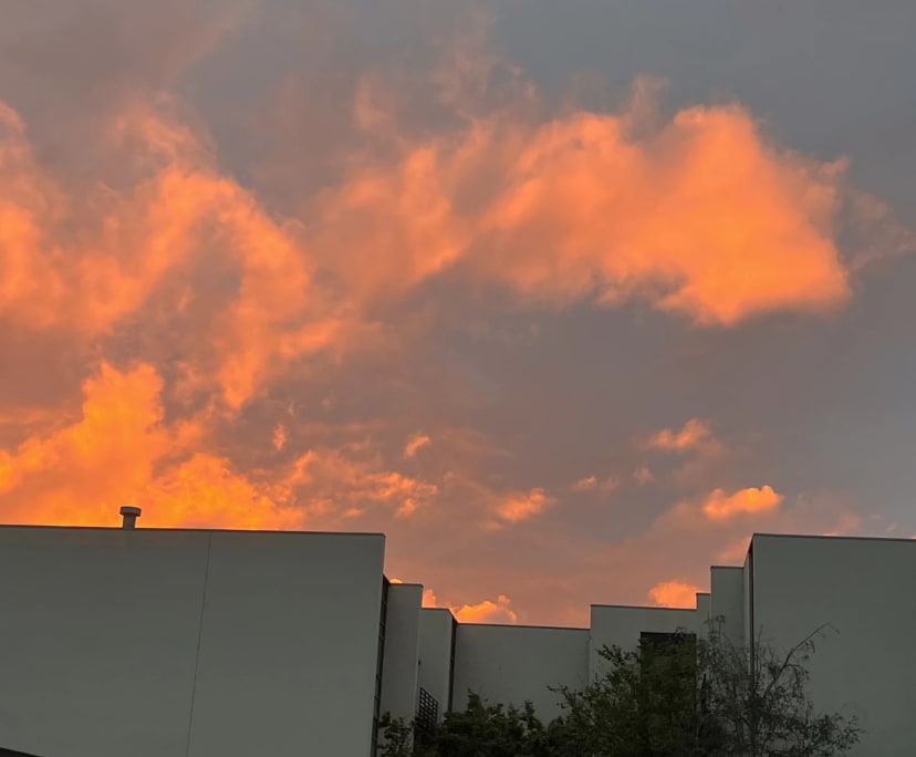 $400, Flatshare, 2 bathrooms, Flemington VIC 3031