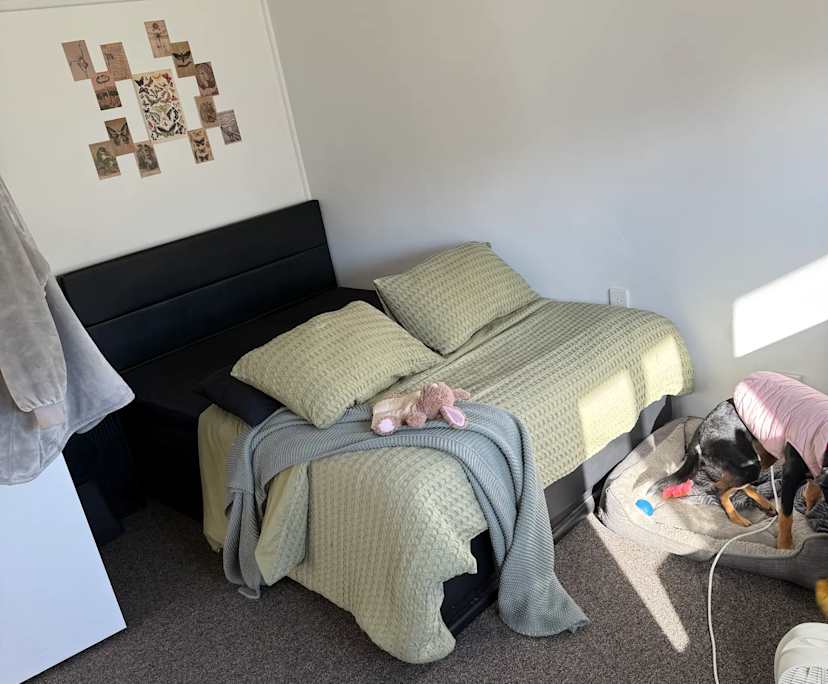 Unfurnished room in a share house