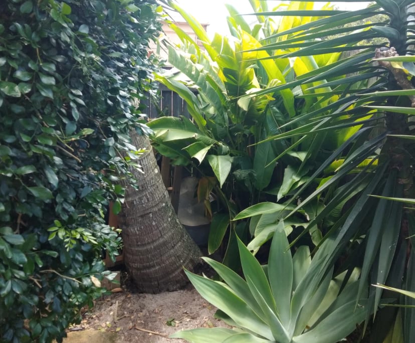 $315, Flatshare, 2 bathrooms, Sunrise Beach QLD 4567