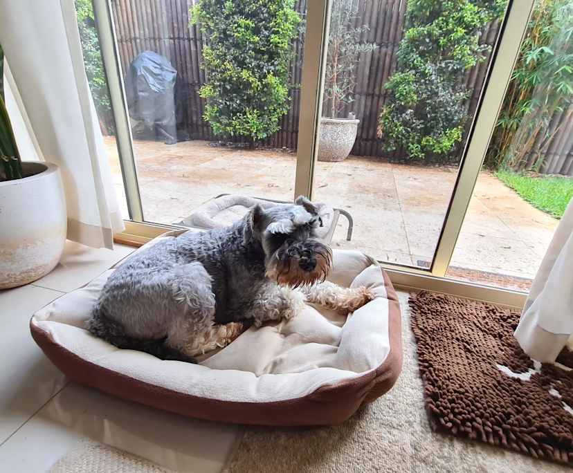 $350, Share-house, 3 bathrooms, Cherrybrook NSW 2126