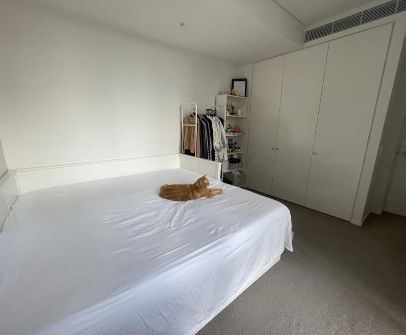 $580, Flatshare, 3 bathrooms, Sydney NSW 2000