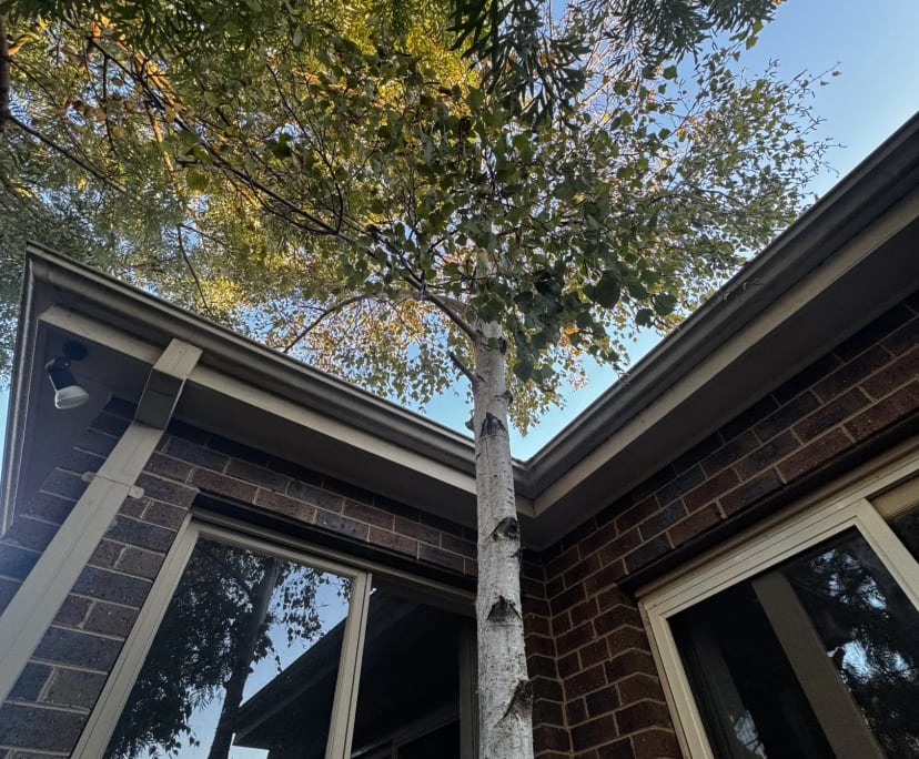 $250-350, Share-house, 2 rooms, Murrumbeena VIC 3163, Murrumbeena VIC 3163