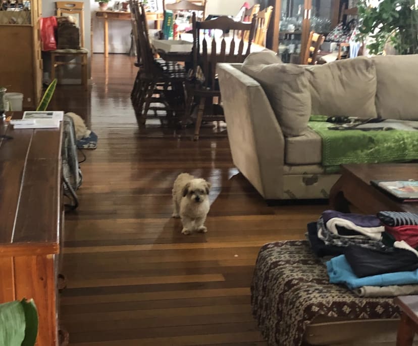 Room for Rent in Glenore Grove, QLD 170, Furnishe...