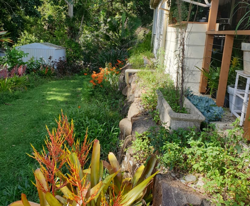 $240, Share-house, 3 bathrooms, Goonellabah NSW 2480