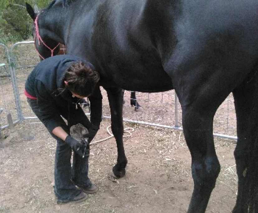 $301, Share-house, 4 bathrooms, Heathmont VIC 3135