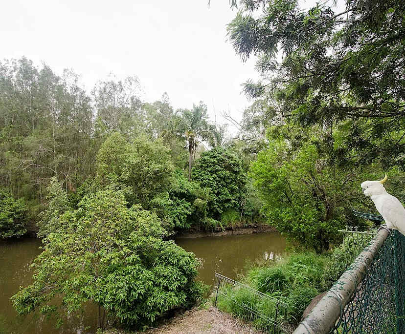 $300, Share-house, 4 bathrooms, Ashmore QLD 4214