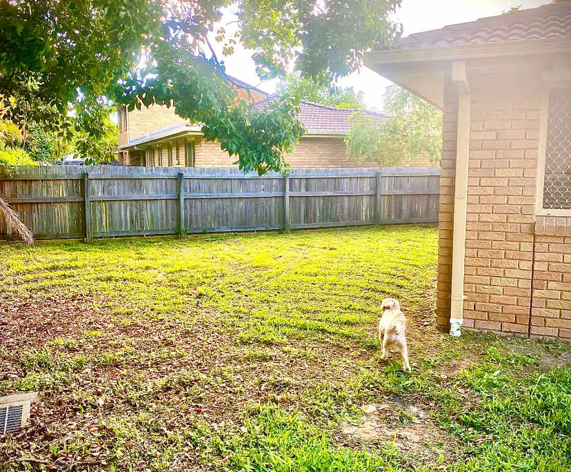 $320, Share-house, 3 bathrooms, Runcorn QLD 4113