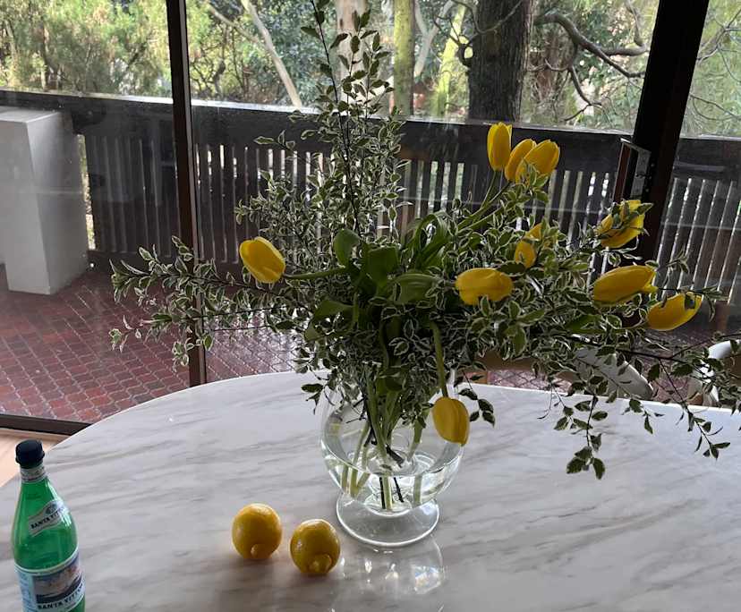 $570, Flatshare, 2 bathrooms, Rose Bay NSW 2029