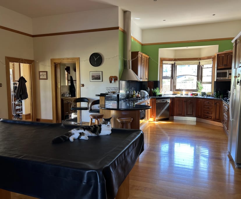 $250, Share-house, 3 rooms, Ascot Vale VIC 3032, Ascot Vale VIC 3032