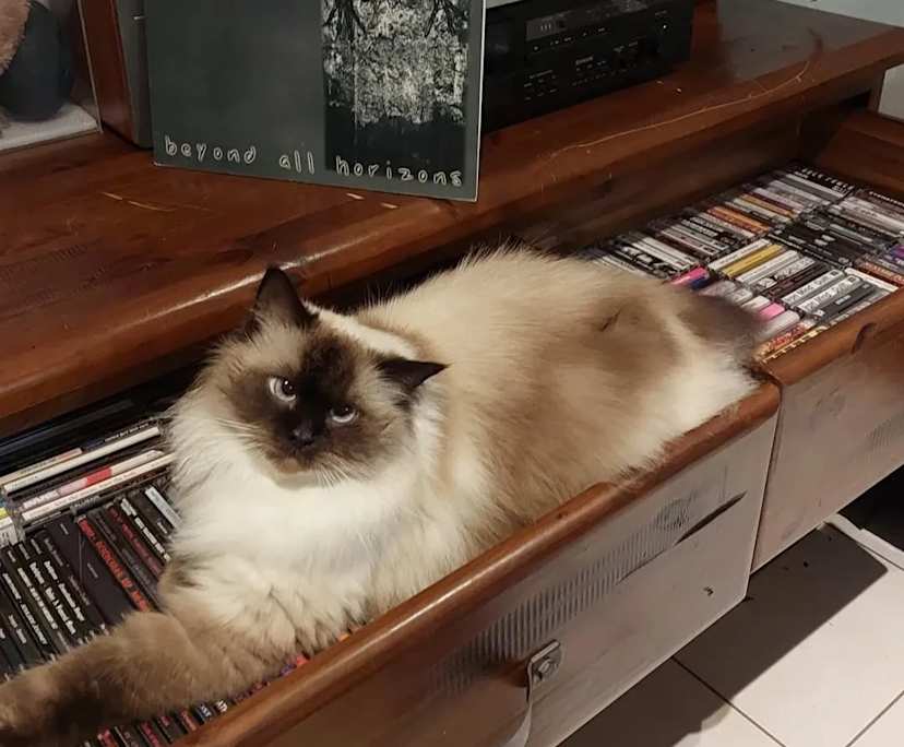 $180, Share-house, 2 bathrooms, North Albury NSW 2640