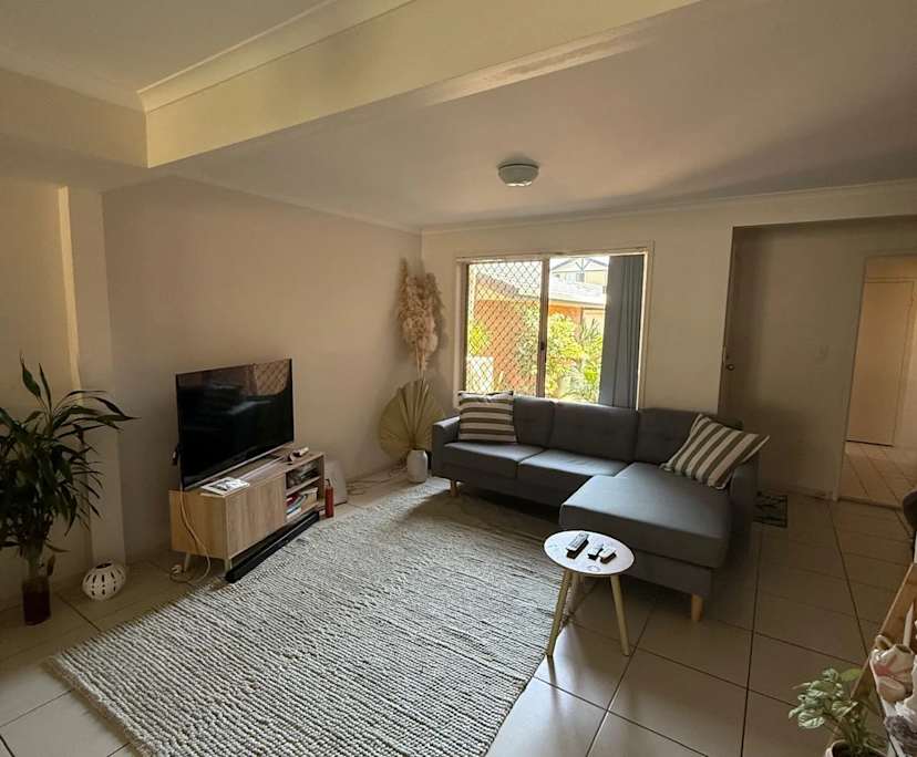 Whole property with 3 rooms for rent