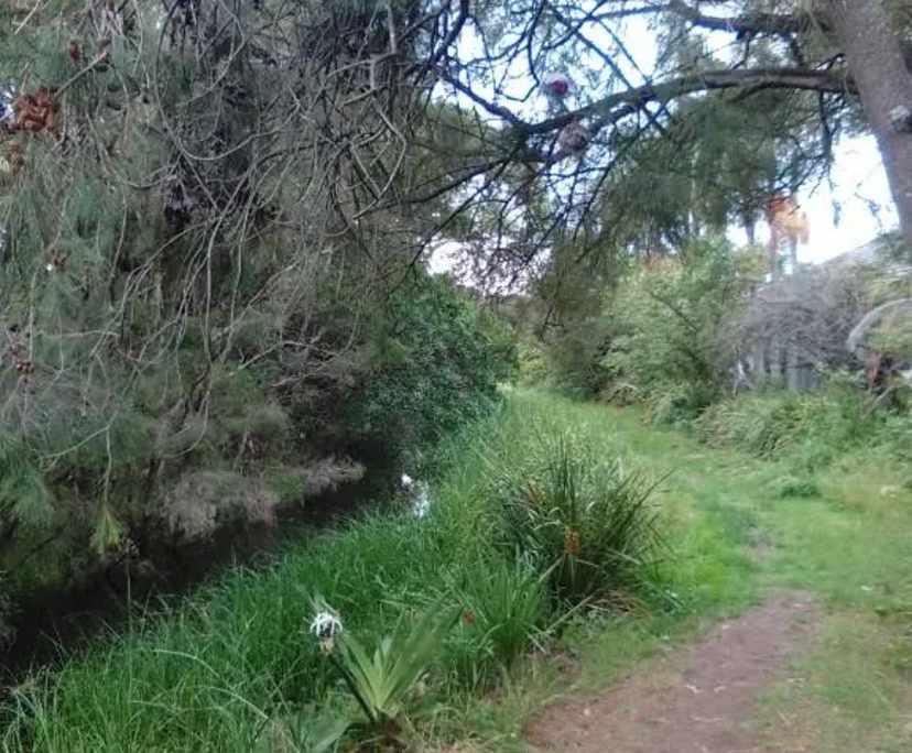 $250, Share-house, 2 bathrooms, East Corrimal NSW 2518