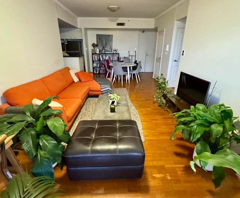 $620, Flatshare, 2 bathrooms, Bondi Junction NSW 2022