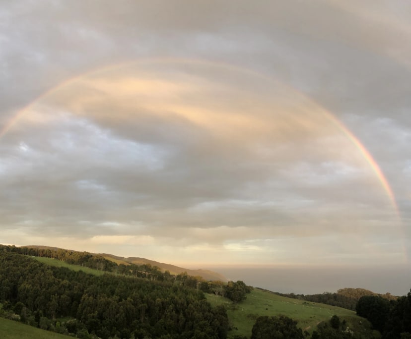 $395, Studio, 1 bathroom, Wongarra VIC 3234