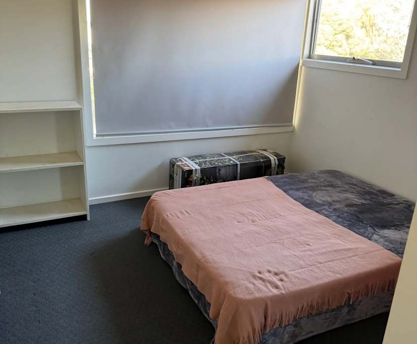 Room in a share house