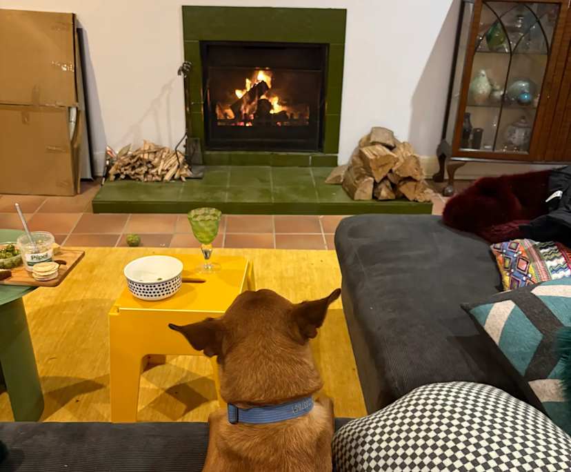 $310, Student-accommodation, 5 bathrooms, Brighton East VIC 3187