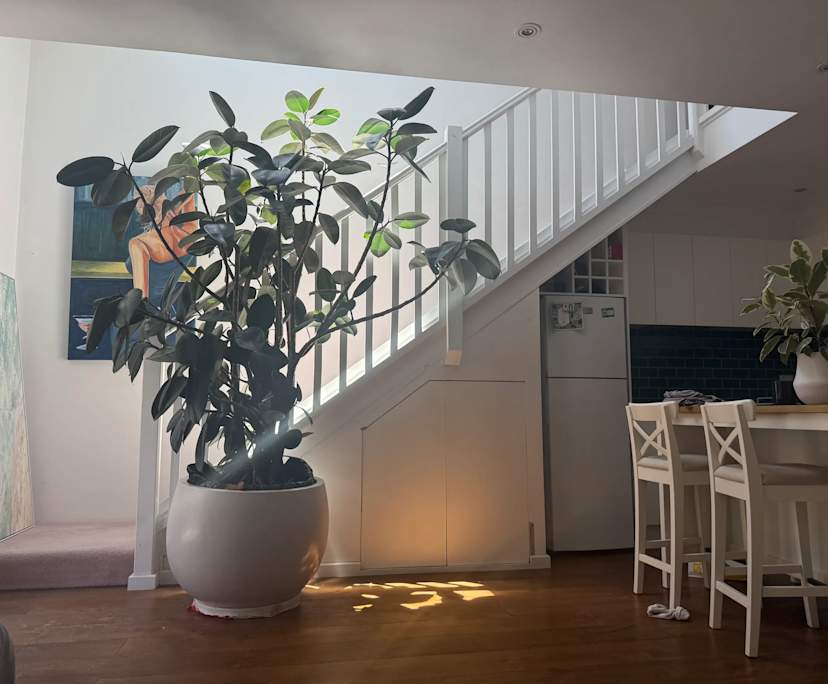 One bed flat for rent