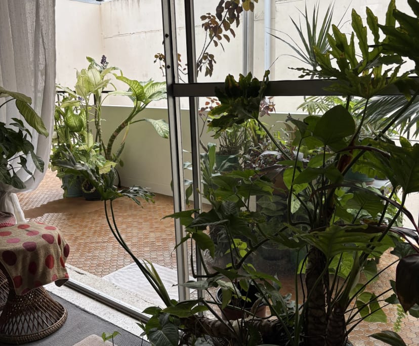 $300, Student-accommodation, 2 bathrooms, Surfers Paradise QLD 4217