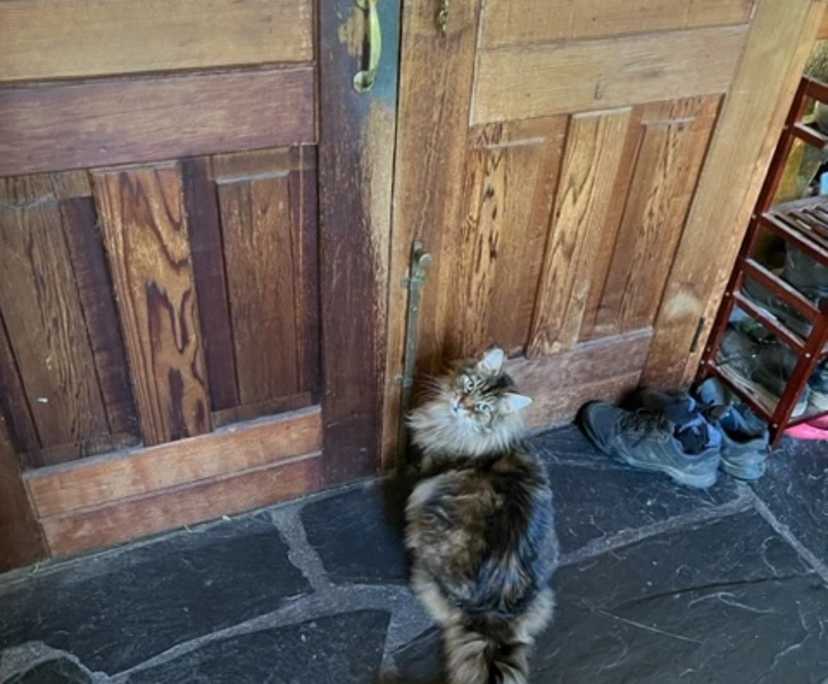 $250, Share-house, 4 bathrooms, Belgrave VIC 3160