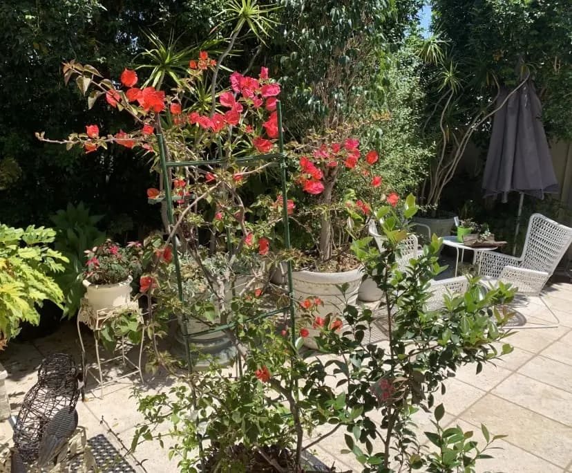 $449, Share-house, 3 bathrooms, Randwick NSW 2031