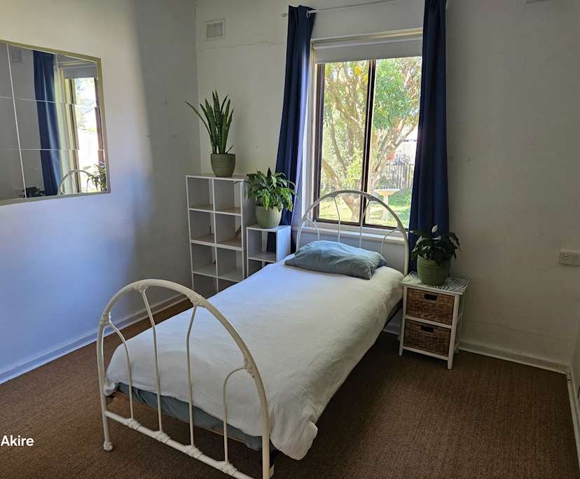 Room in a share house